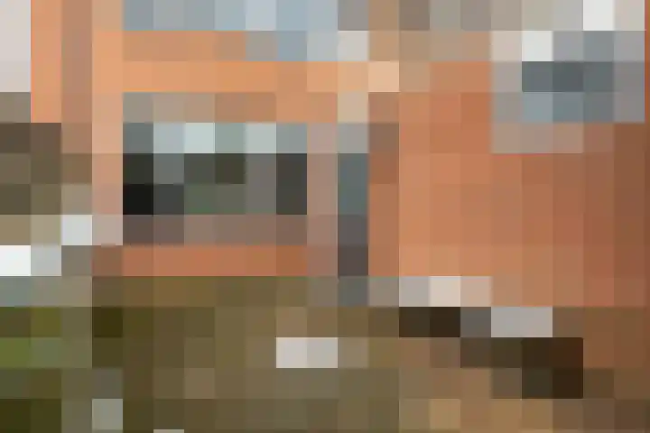 Simke Kloostermanstrjitte 27 Twijzel thumbnail 26