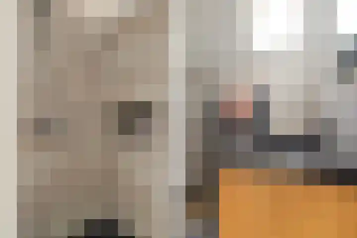 Simke Kloostermanstrjitte 27 Twijzel thumbnail 36