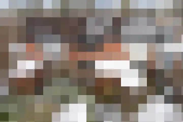 Simke Kloostermanstrjitte 27 Twijzel thumbnail 44