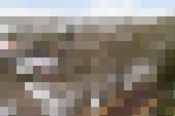 Simke Kloostermanstrjitte 27 Twijzel thumbnail 48