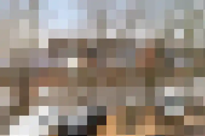 Simke Kloostermanstrjitte 27 Twijzel thumbnail 49