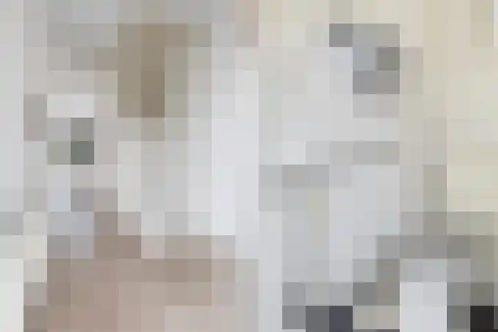 Simke Kloostermanstrjitte 27 Twijzel thumbnail 5