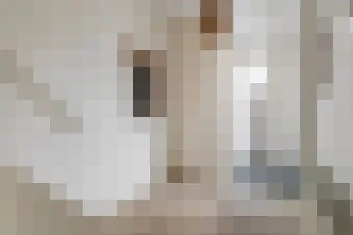 Simke Kloostermanstrjitte 27 Twijzel thumbnail 6