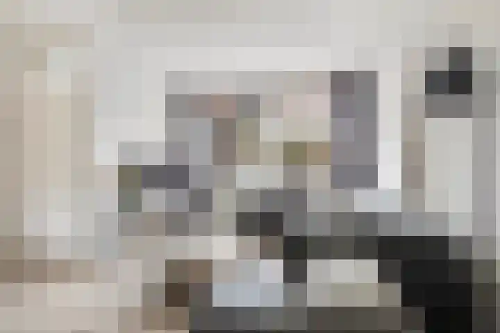 Simke Kloostermanstrjitte 27 Twijzel thumbnail 8