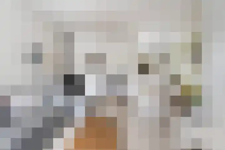 Simke Kloostermanstrjitte 27 Twijzel thumbnail 9