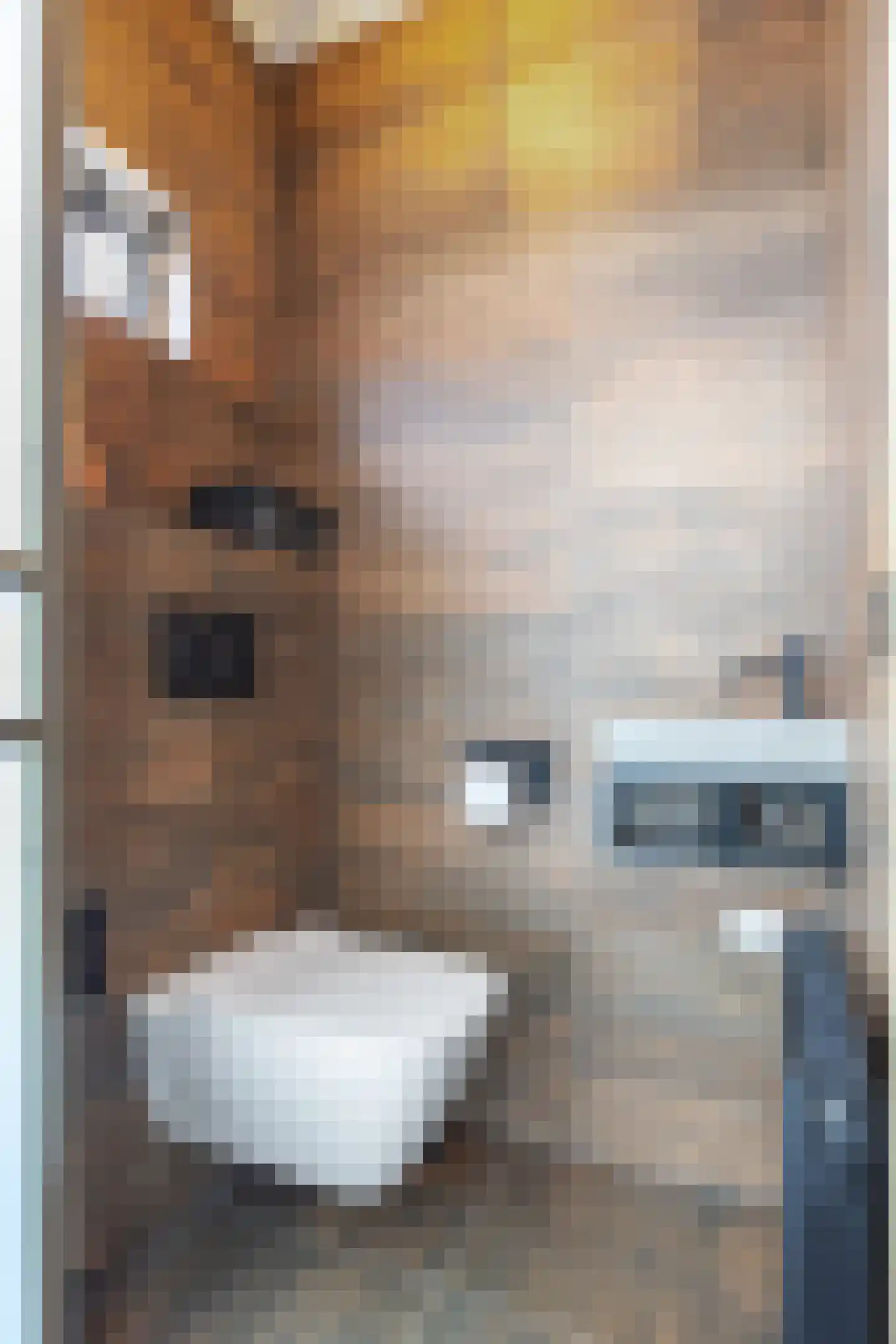 Simke Kloostermanstrjitte 33 Twijzel thumbnail 11