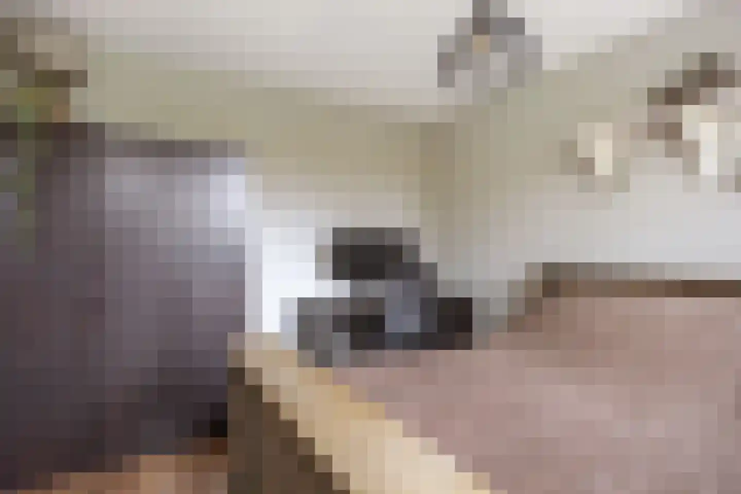 Simke Kloostermanstrjitte 33 Twijzel thumbnail 25