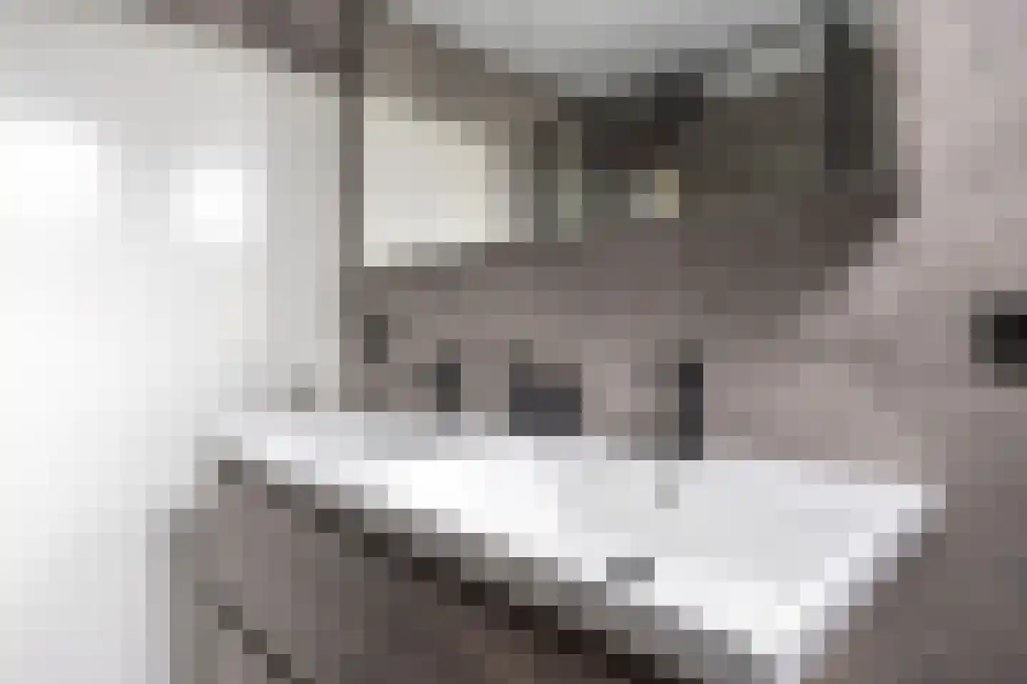 Simke Kloostermanstrjitte 33 Twijzel thumbnail 28