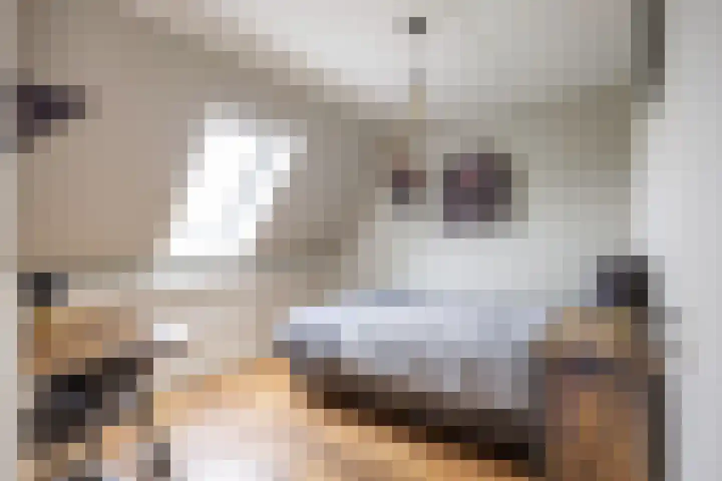 Simke Kloostermanstrjitte 33 Twijzel thumbnail 33