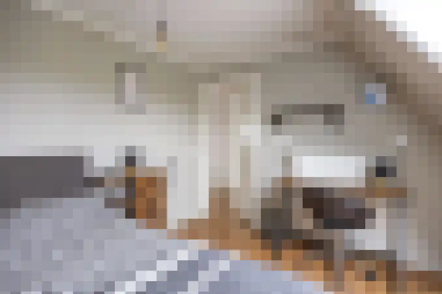 Simke Kloostermanstrjitte 33 Twijzel thumbnail 34