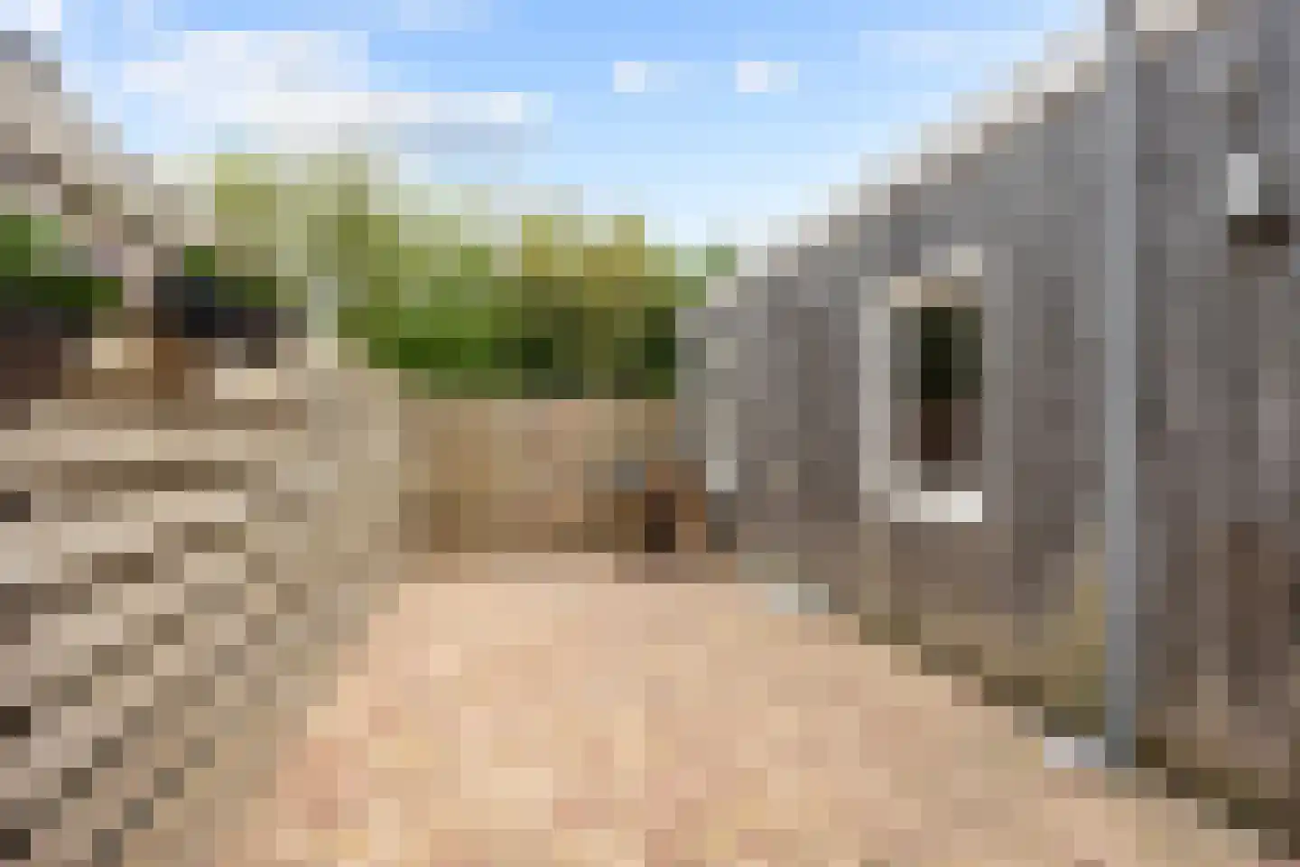 Simke Kloostermanstrjitte 33 Twijzel thumbnail 35