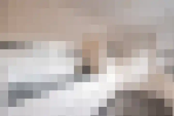 Simke Kloostermanstrjitte 70 Gytsjerk thumbnail 22