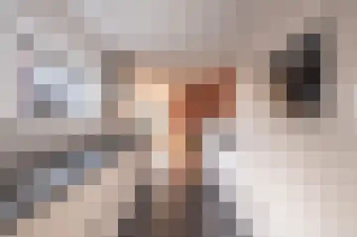 Simke Kloostermanstrjitte 70 Gytsjerk thumbnail 23