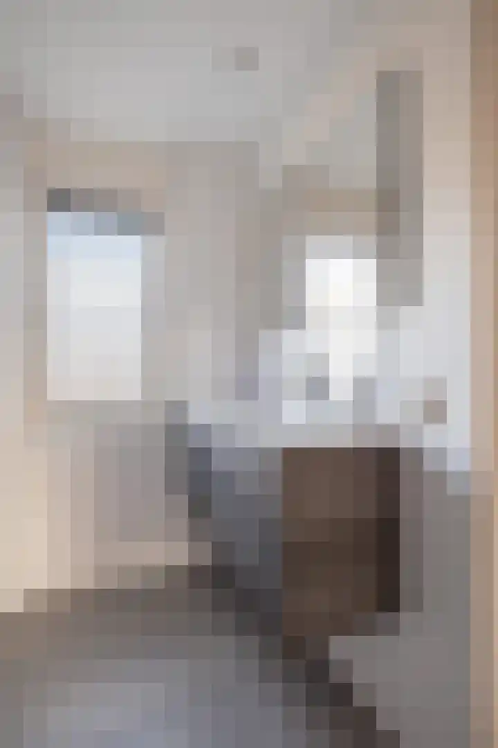 Simke Kloostermanstrjitte 70 Gytsjerk thumbnail 37