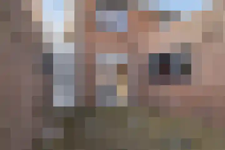 Simke Kloostermanstrjitte 70 Gytsjerk thumbnail 44