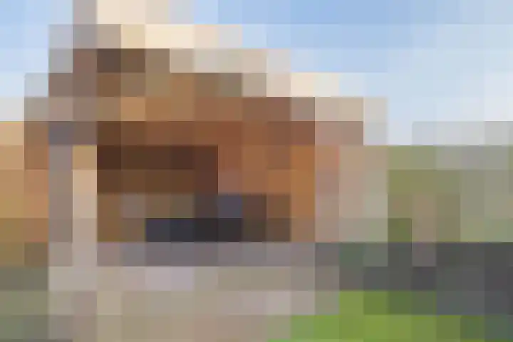 Simke Kloostermanstrjitte 70 Gytsjerk thumbnail 47