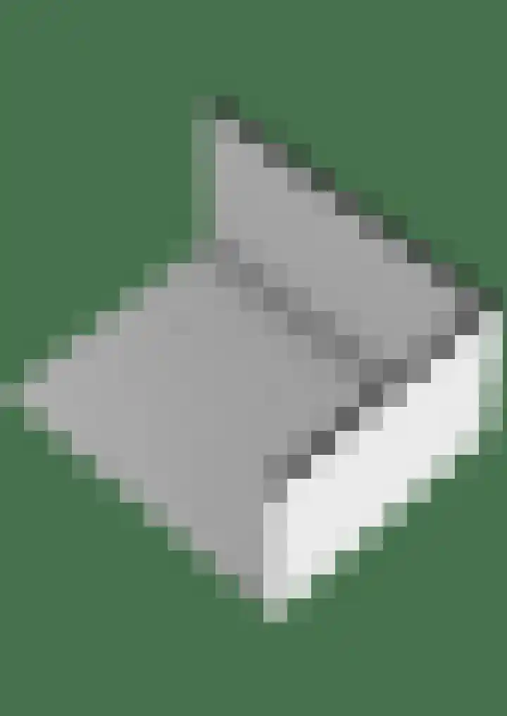 Simke Kloostermanstrjitte 70 Gytsjerk thumbnail 58