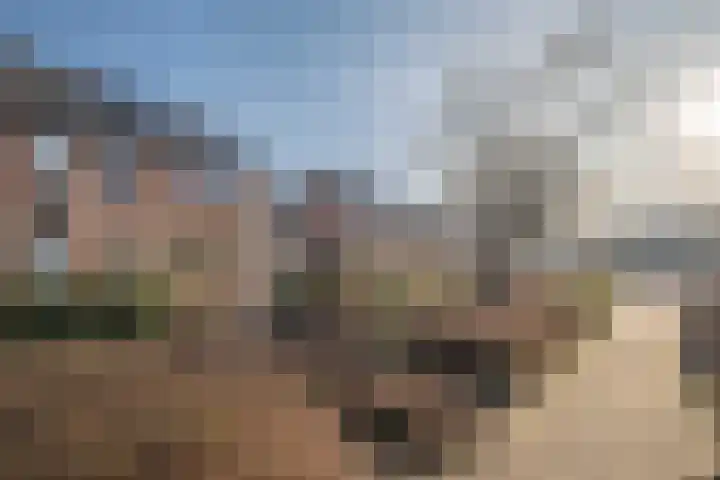 Simke Kloostermanstrjitte 70 Gytsjerk thumbnail 8
