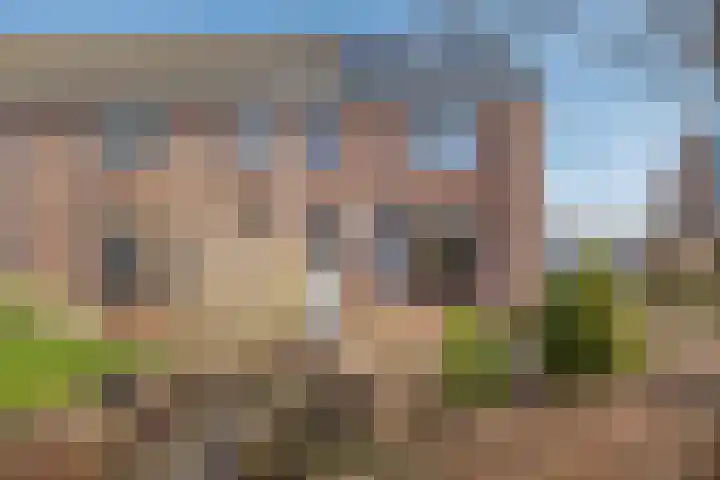 Simke Kloostermanstrjitte 70 Gytsjerk thumbnail 9