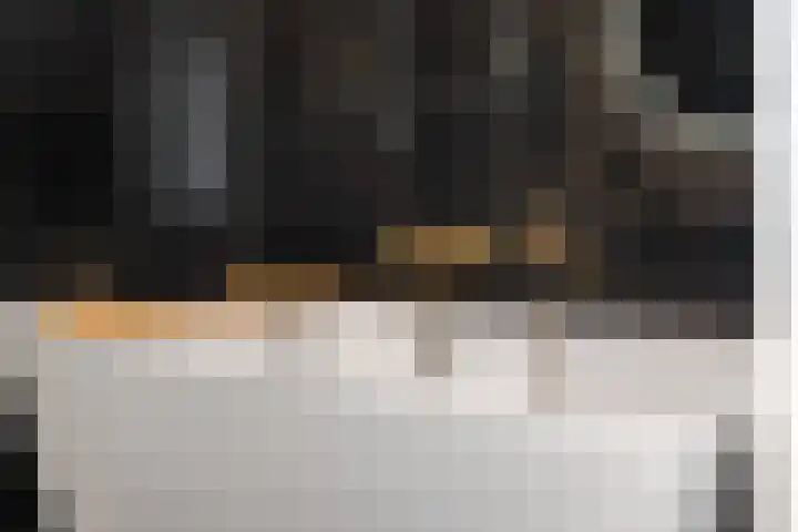 Simke Kloostermanstrjitte 83 Gytsjerk thumbnail 19
