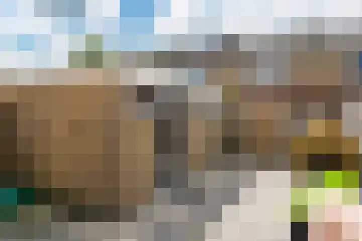 Simke Kloostermanstrjitte 83 Gytsjerk thumbnail 28