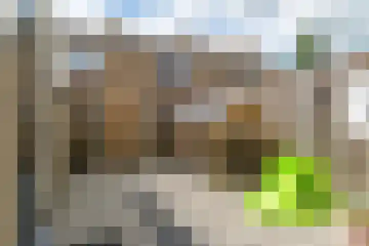 Simke Kloostermanstrjitte 83 Gytsjerk thumbnail 29