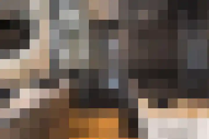 Simke Kloostermanstrjitte 83 Gytsjerk foto 3