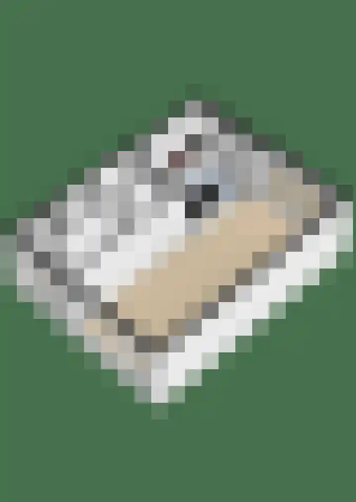 Simke Kloostermanstrjitte 83 Gytsjerk thumbnail 37