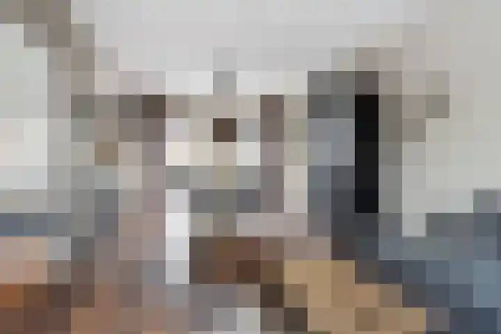 Simke Kloostermanstrjitte 83 Gytsjerk thumbnail 5
