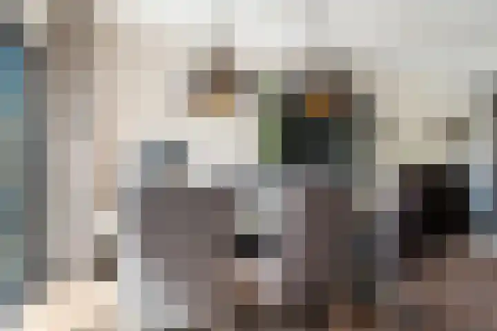 Simke Kloostermanstrjitte 83 Gytsjerk thumbnail 6