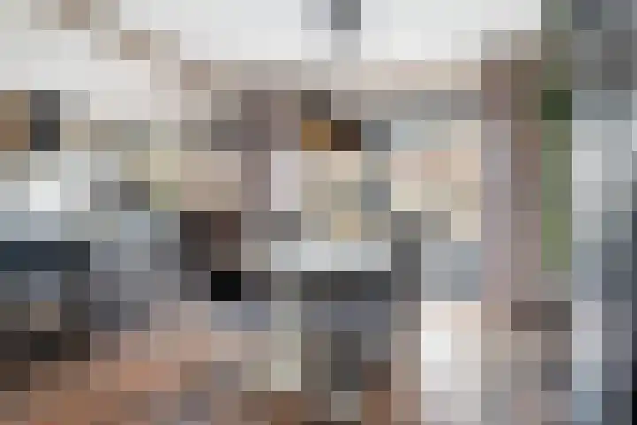 Simke Kloostermanstrjitte 83 Gytsjerk thumbnail 7