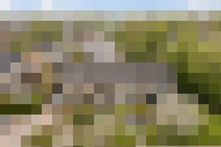 Simke Kloostermanstrjitte 84 en Gytsjerk