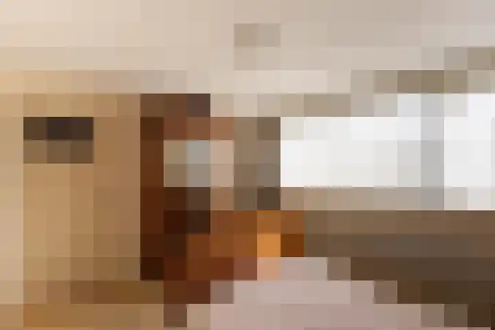 Simke Kloostermanstrjitte 9 Franeker thumbnail 19