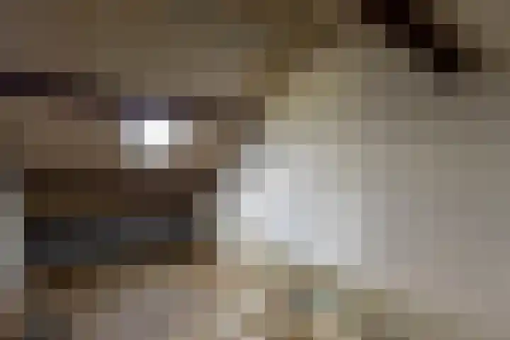 Simke Kloostermanstrjitte 9 Franeker thumbnail 28