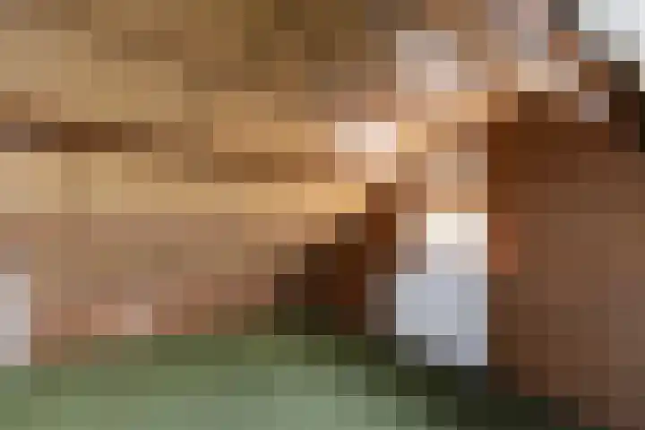 Simke Kloostermanstrjitte 9 Franeker thumbnail 30