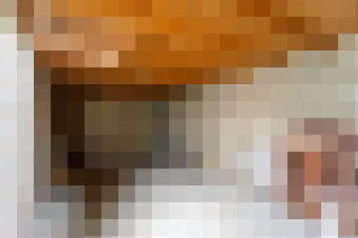 Simke Kloostermanstrjitte 9 Franeker thumbnail 31