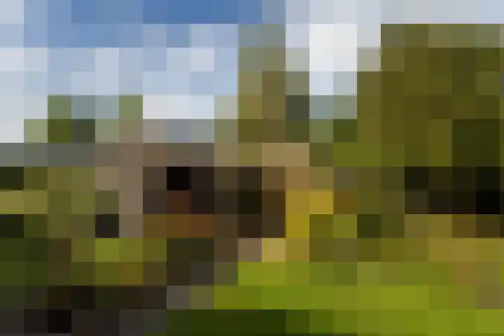 Simke Kloostermanstrjitte 9 Franeker thumbnail 39