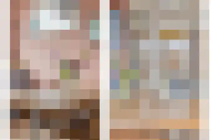 Simmersnie 15 Oudega thumbnail 17