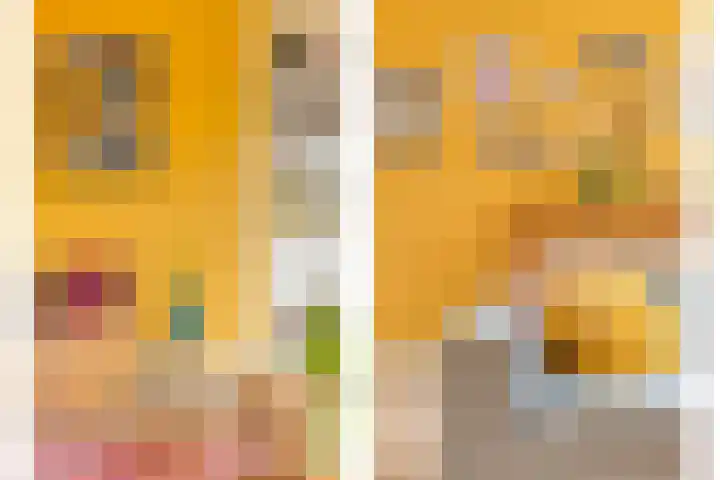 Simmersnie 15 Oudega thumbnail 21