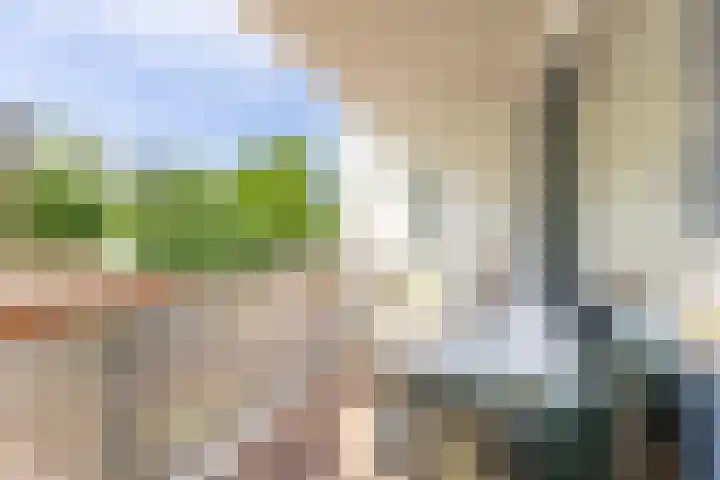 Simmersnie 15 Oudega thumbnail 22