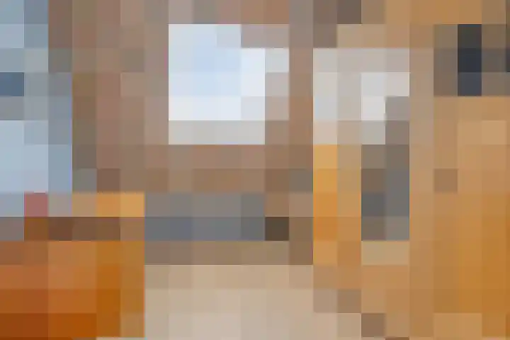 Simmersnie 15 Oudega thumbnail 29
