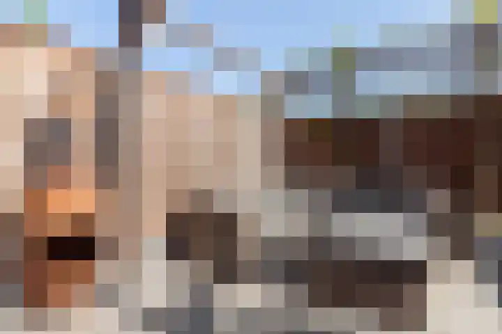 Simmersnie 15 Oudega thumbnail 45