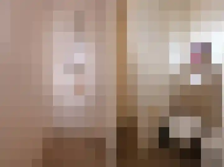 Simmersnie 27 Oudega thumbnail 18