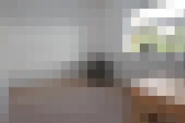 Simmersnie 27 Oudega thumbnail 22