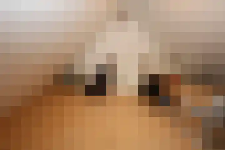 Simmersnie 27 Oudega thumbnail 26