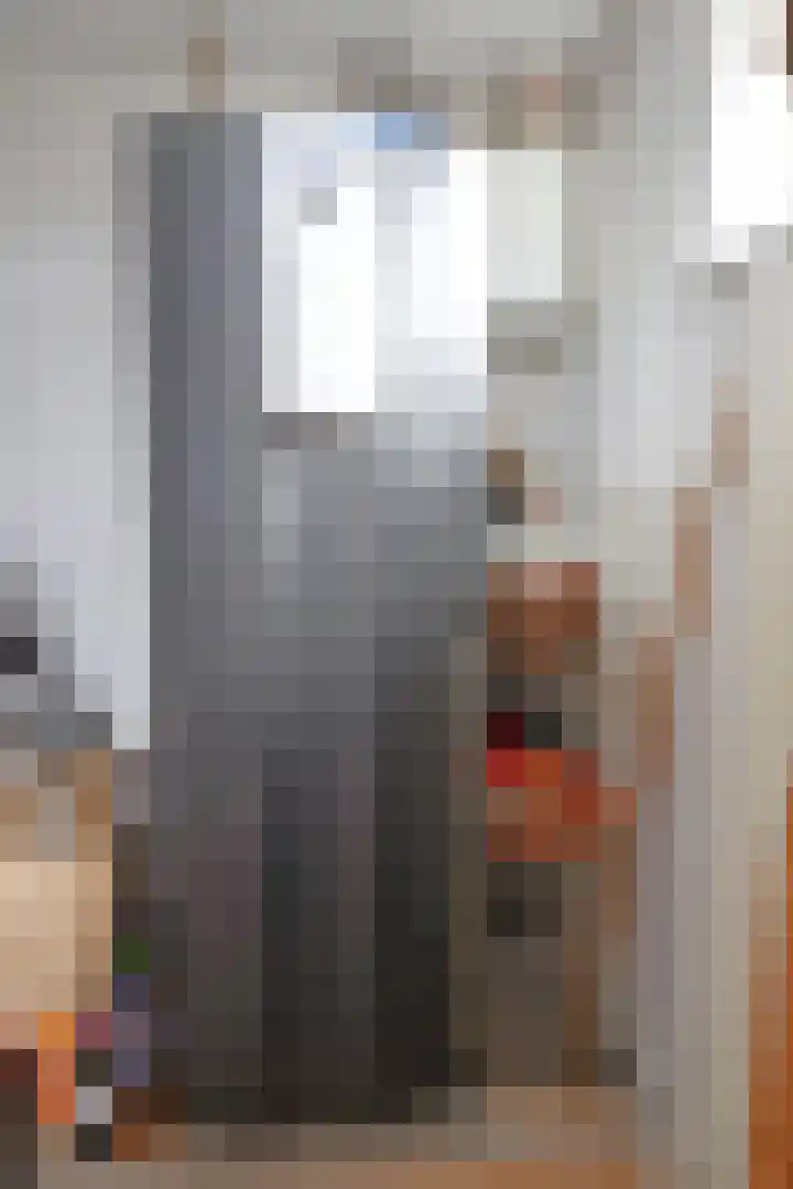 Simmersnie 27 Oudega thumbnail 28