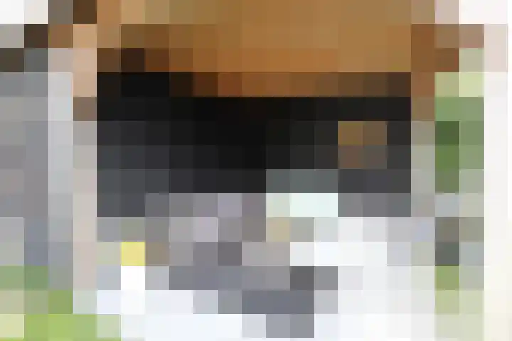Simmersnie 27 Oudega thumbnail 5