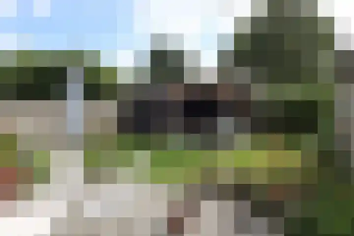 Simmersnie 27 Oudega thumbnail 6
