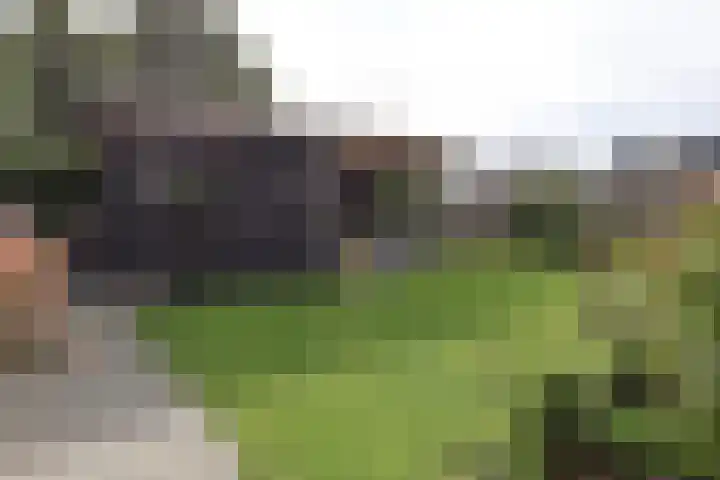 Simmersnie 27 Oudega thumbnail 7