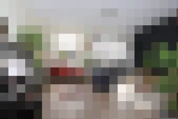 Simmersnie 27 Oudega thumbnail 9